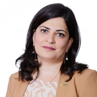 Nisrine moubarak Photo